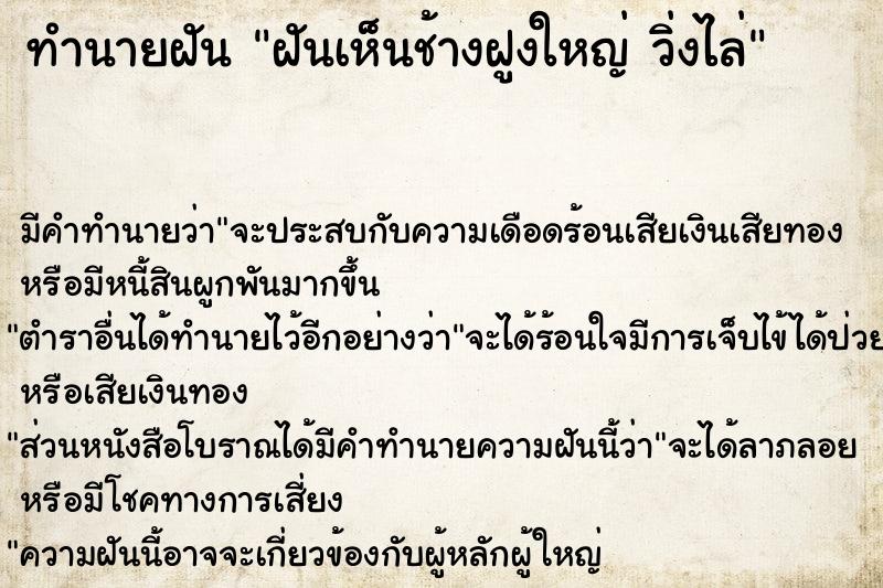 ทำนายฝันฝันเห็นช้างฝูงใหญ่วิ่งไล่ ทำนายฝันทำนายฝันฝันเห็นช้างฝูงใหญ่วิ่งไล่